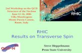 RHIC Results on Transverse Spin