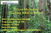 Silicon Microstrip Tracking R&D in the US
