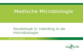 Medische Microbiologie