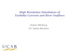 High Resolution Simulations of Turbidity Currents  and River Outflows