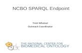 NCBO SPARQL Endpoint