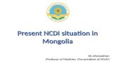 Present NCDI situation in Mongolia