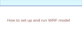 How to set up and run WRF model