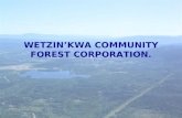 WETZIN’KWA COMMUNITY FOREST CORPORATION.