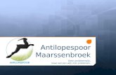 Antilopespoor Maarssenbroek