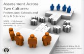 Assessment Across Two Cultures:  Professional Schools and Arts & Sciences