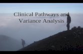 Clinical Pathways and Variance Analysis