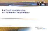 La Forêt québécoise: un milieu en mouvement