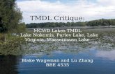 TMDL Critique: MCWD Lakes TMDL – Lake Nokomis, Parley Lake, Lake Virginia, Wassermann Lake