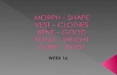 MORPH – SHAPE  VEST – CLOTHES BENE – GOOD  POND – WEIGHT  CORP – BODY