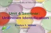 Unit 4 Seminar:   Unknown Identification