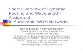 Short Overview of Dynamic  Routing and Wavelength-Assigment  in Survivable WDM Networks