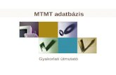 MTMT adatbázis