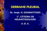 DERRAME PLEURAL Dr. Jorge  H. GIANNATTASIO 1ª. CÁTEDRA DE NEUMOTISIOLOGÍA U. B. A