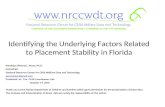 Identifying the Underlying Factors Related to Placement Stability in Florida