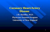 Coronary Heart/Artery Disease