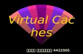 Virtual Caches