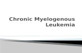 Chronic  Myelogenous  Leukemia