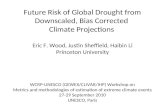 Future Risk of Global Drought from Downscaled, Bias Corrected  Climate Projections