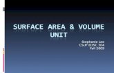 Surface Area & Volume Unit