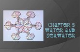 CHAPTER 5   Water and Seawater