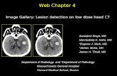 Image Gallery: Lesion detection on low dose head CT