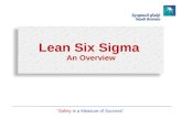 Lean Six Sigma  An Overview