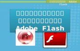 เรื่อง   เริ่มต้นใช้งานโปรแกรม   Adobe flash