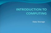 INTRODUCTION TO  COMPUTING