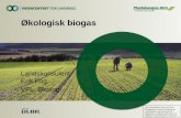 Økologisk biogas