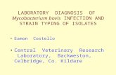 LABORATORY  DIAGNOSIS  OF   Mycobacterium bovis  INFECTION AND STRAIN TYPING OF ISOLATES