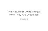 The Nature of Living Things: How They Are Organized