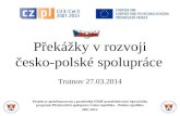 Překážky v rozvoji česko-polské spolupráce
