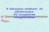 A Tokuyasu módszer  és alkalmazása  P2 receptorok vizsgálatában