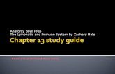 Chapter 13 study guide