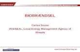 BIOBRÆNDSEL Carlos Sousa AGENEAL, Local Energy Management Agency of Almada
