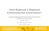 How Regional is Regional Environmental Governance?