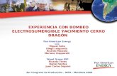 EXPERIENCIA CON BOMBEO ELECTROSUMERGIBLE YACIMIENTO CERRO DRAGÓN