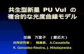 共生型新星  PU Vul  の 複合的な光度曲線モデル