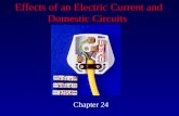 Effects of an Electric  Current  and Domestic Circuits