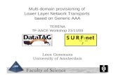 Multi-domain provisioning of  Lower Layer Network Transports  based on Generic AAA TERENA