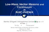 Low-Mass Vector Mesons  and Continuum at RHIC-PHENIX
