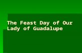 The Feast Day of Our Lady of Guadalupe