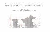 Trace gases measurements  in convective outflow by MOZAIC:  preliminary results