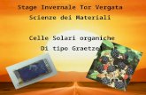 Stage Invernale Tor Vergata  Scienze dei Materiali  Celle Solari organiche Di tipo Graetzel