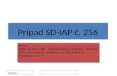 Prípad SD-IAP č. 256