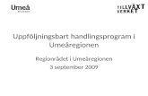 Uppföljningsbart handlingsprogram i Umeåregionen