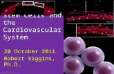 Stem Cells and the Cardiovascular System