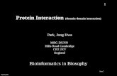 Protein Interaction  (domain domain interaction)