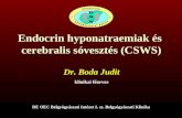 Endocrin hyponatraemiak és cerebralis sóvesztés  (CSWS)